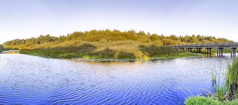 Hotelli Surfcrest Resort