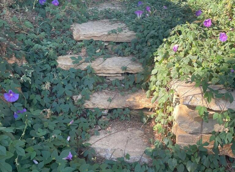 פנסיון Maison D Hotes Le Boulou