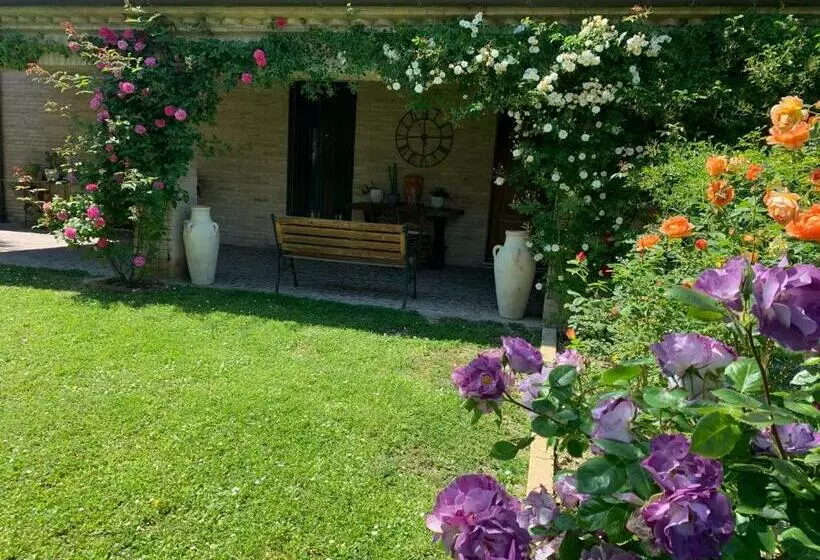 پانسیون Guest House Vagamondo