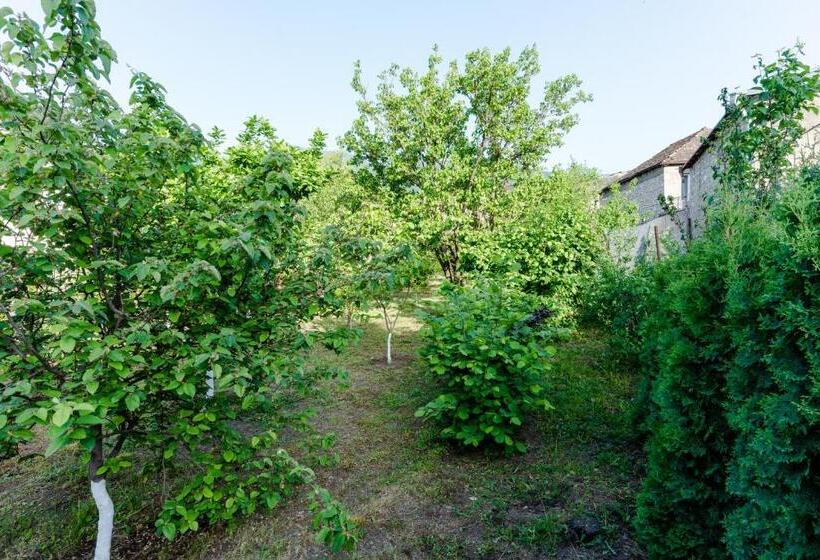 Majatalo Dream Guest House