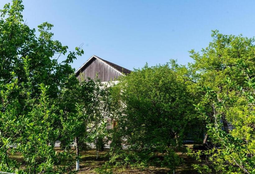 Majatalo Dream Guest House