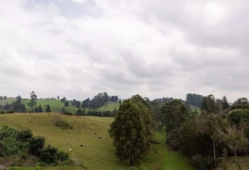 Apartasuite A 3 Min Del Aeropuerto Jmc