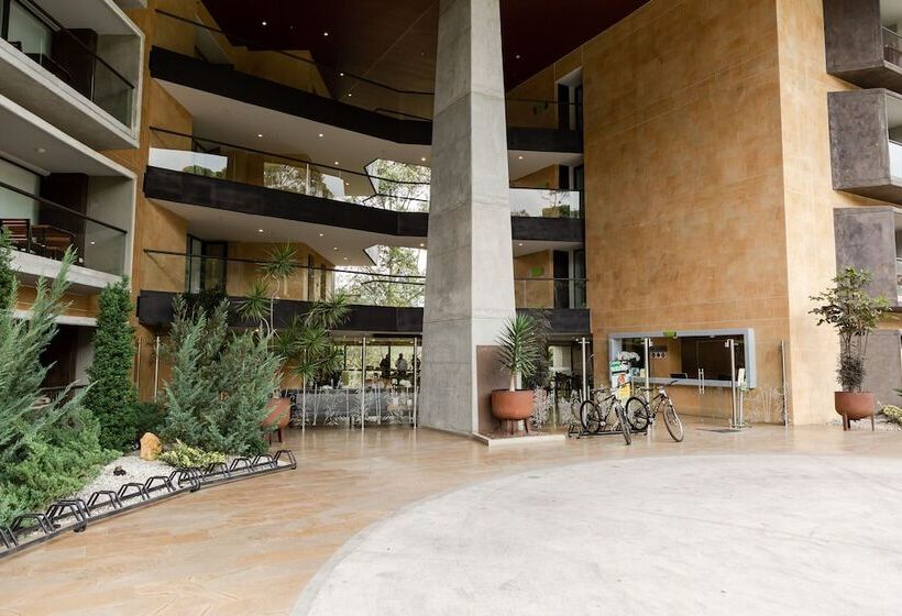 Apartasuite A 3 Min Del Aeropuerto Jmc