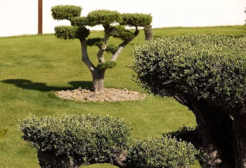 Aamiaismajoitus (B&B) Villa Miramar Frontignan