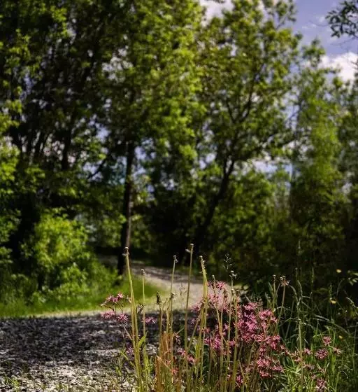 Condo Hotel Au Pied Du Mont Orford