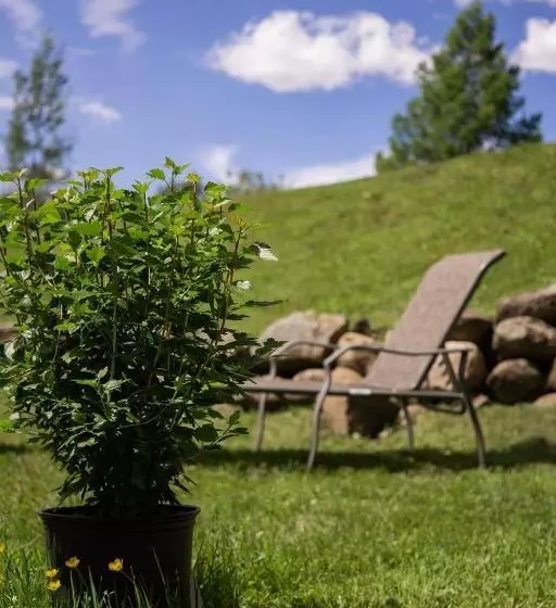 Condo Hotel Au Pied Du Mont Orford