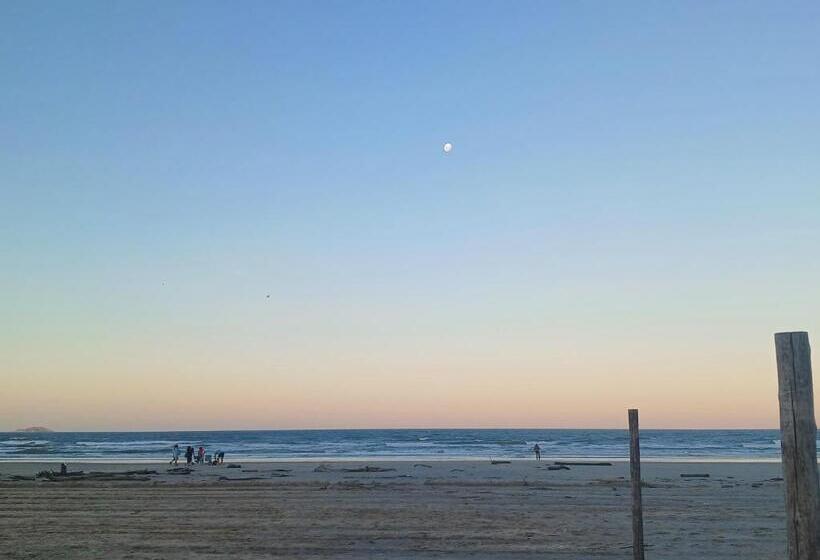 Общежитие Acacia