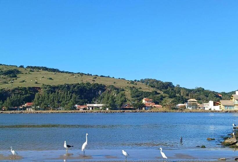 Общежитие Acacia