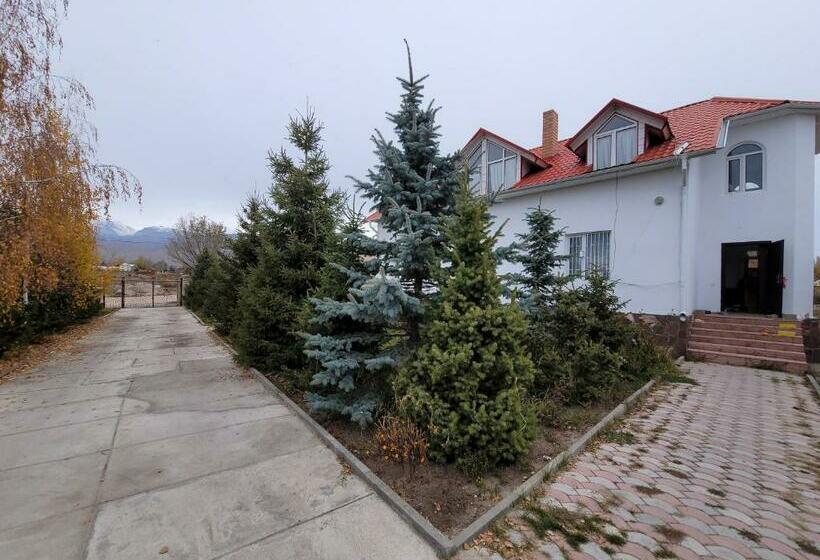 هاستل ай ас