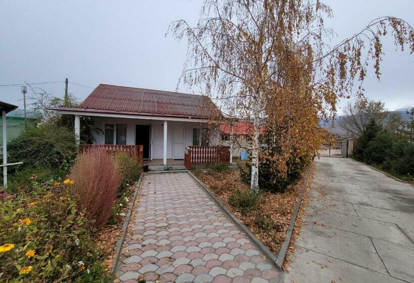 هاستل ай ас