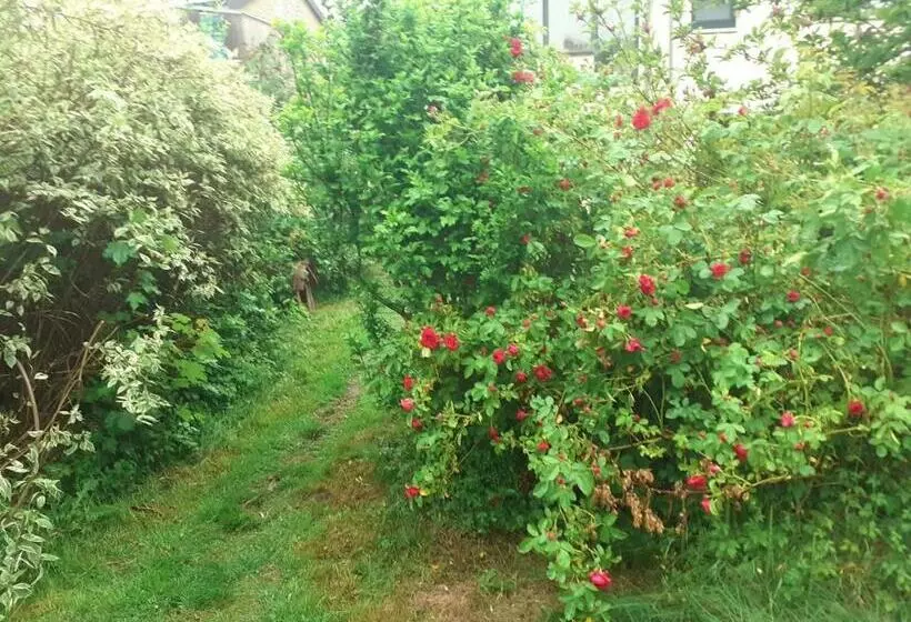 Aamiaismajoitus (B&B) à La Pause Bien Méritée =)