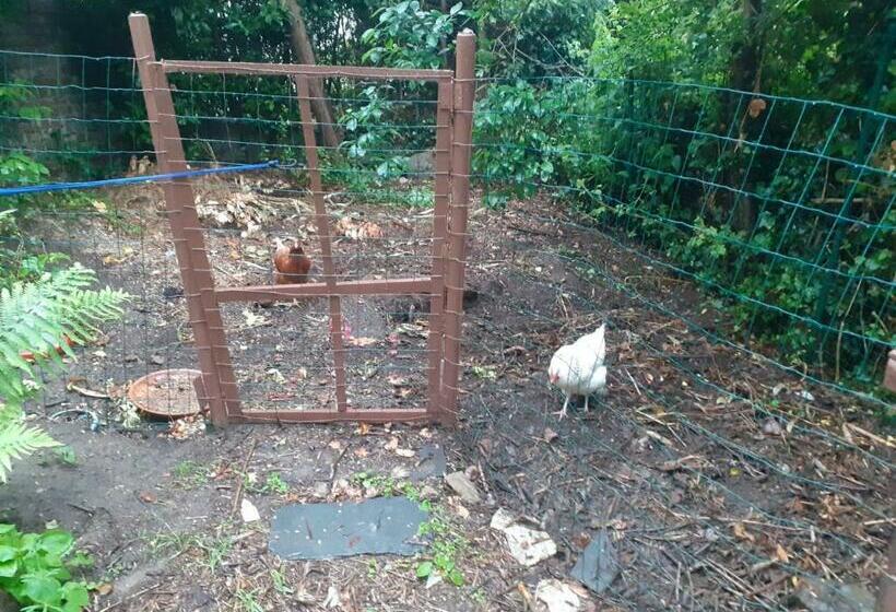 ベッドアンドブレックファースト à La Pause Bien Méritée =)