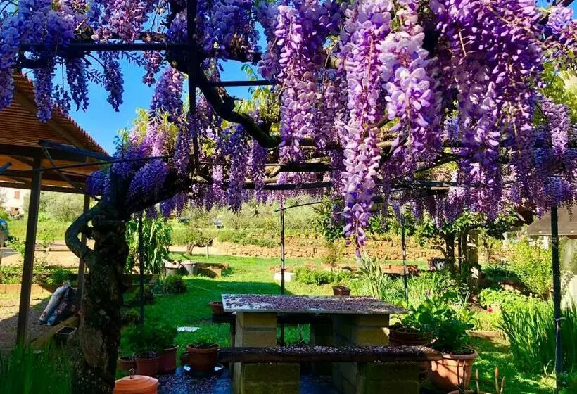 ホテル Agriturismo Montefabbrello