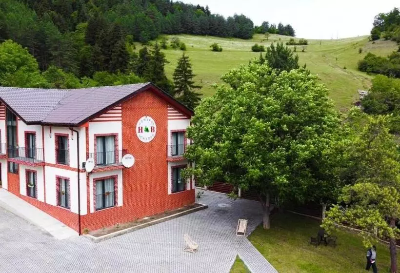 هتل Holiday Borjomi