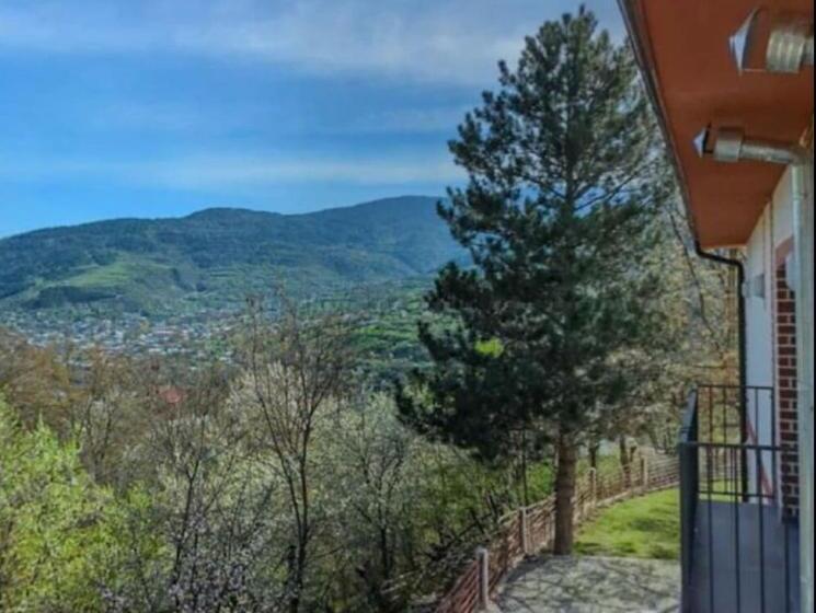 هتل Holiday Borjomi