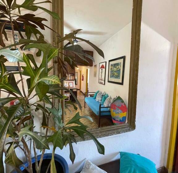 膳宿费 Pousada Aquarium Centro Histórico