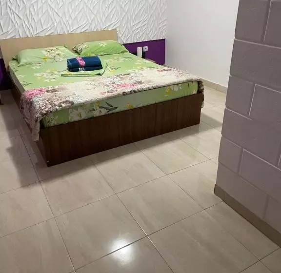 Pensione Vila Vlad