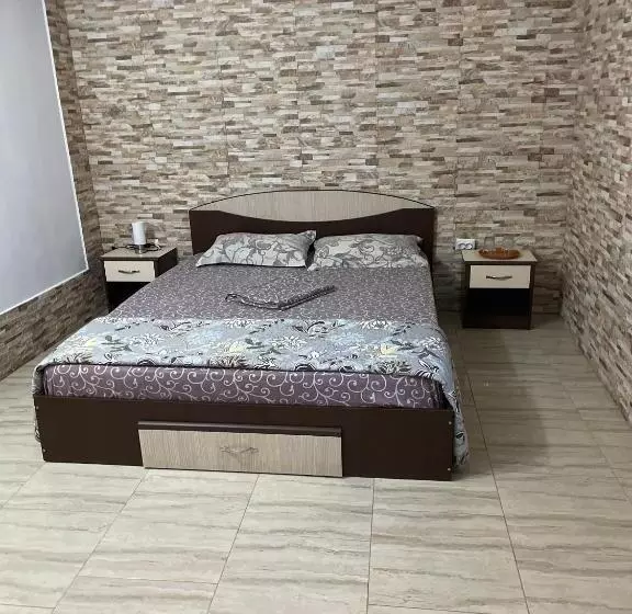 Pensione Vila Vlad