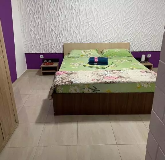 Pensione Vila Vlad