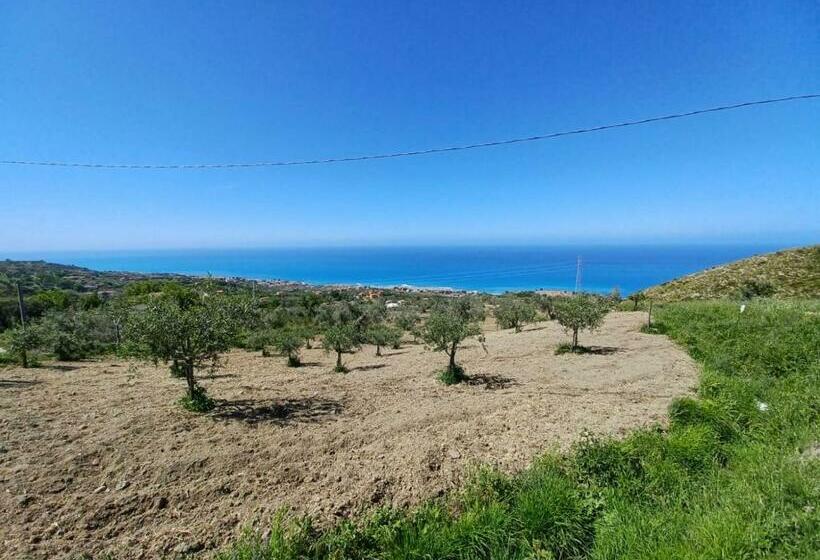 Tenuta Dei Biondi Ulivi B&b