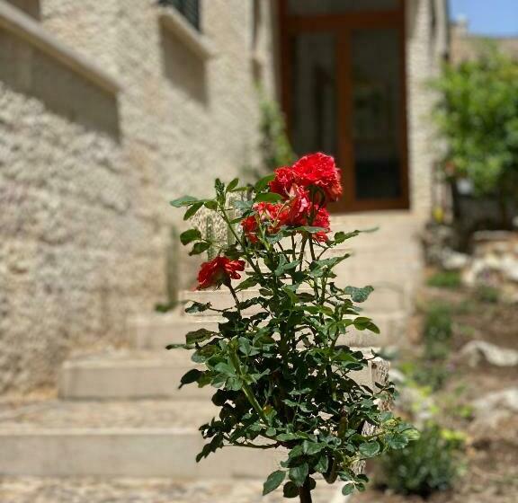 مبيت وإفطار La Villa Del Senatore