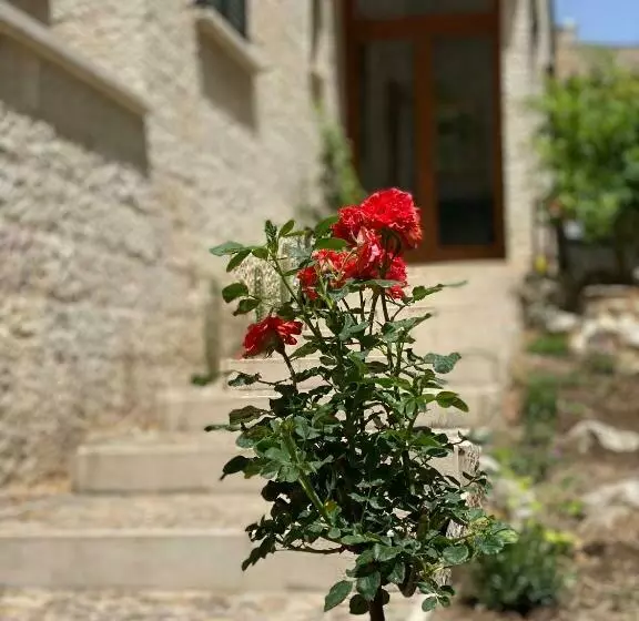 Aamiaismajoitus (B&B) La Villa Del Senatore