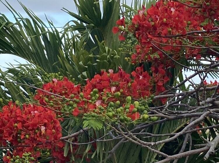 هتل Boundless Bliss