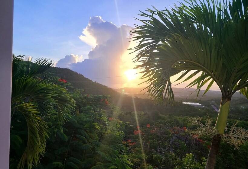 هتل Boundless Bliss