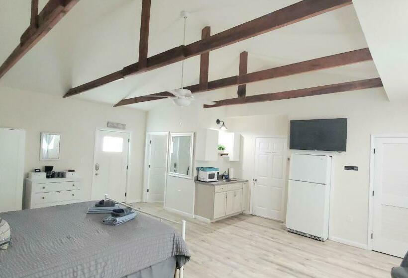 بنسيون King Size Sassy Studio