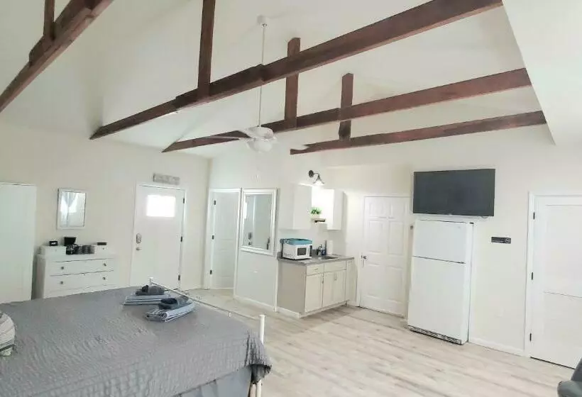 پانسیون King Size Sassy Studio