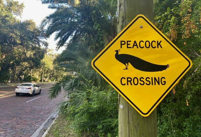 بنسيون King Size Sassy Studio