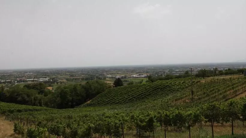 Majatalo Terrazza San Vettore Camere Con Colazione, Relax In Collina Con Vista Sui Vigneti Docg Asolo