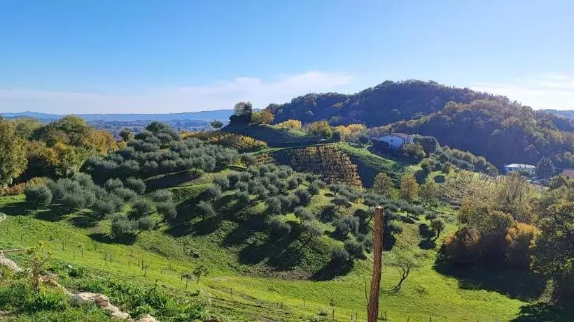 Majatalo Terrazza San Vettore Camere Con Colazione, Relax In Collina Con Vista Sui Vigneti Docg Asolo