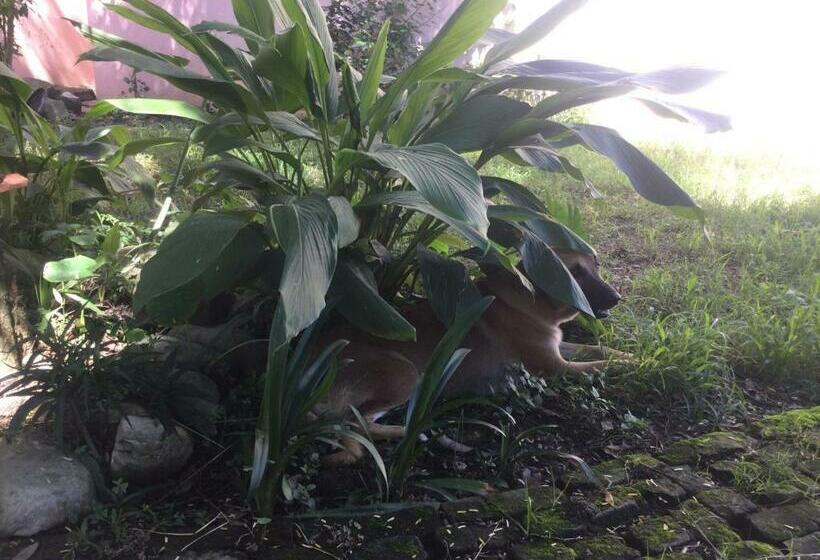 Bed and Breakfast Soleil