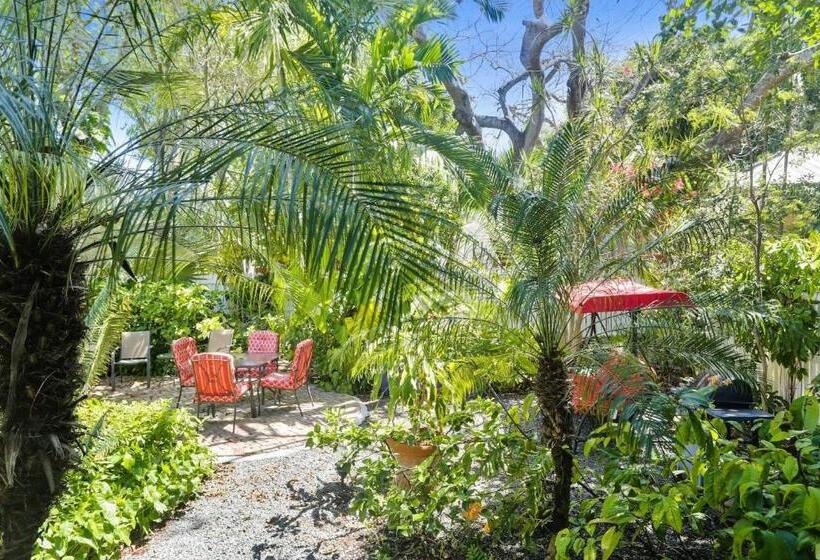 Emmas Secret By Avantstay Heart Of Old Town W Shared Pool Month Long Stays Only