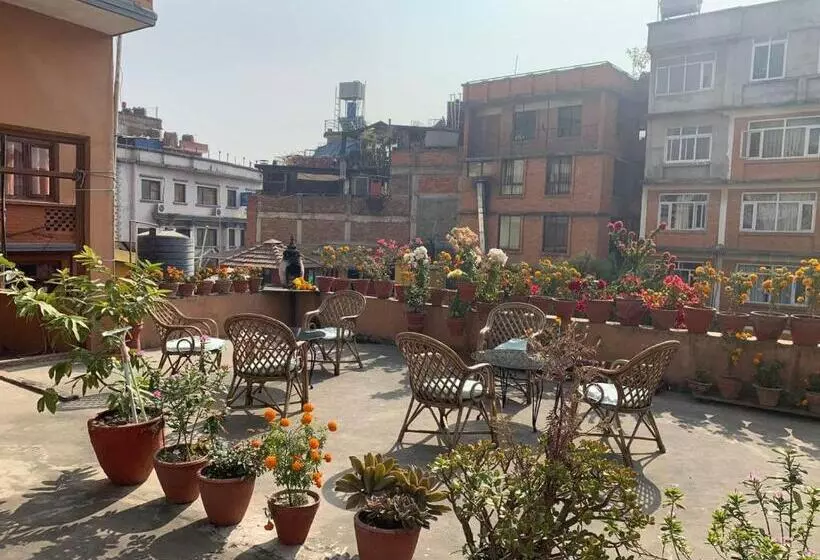 پانسیون Lhasa Guest House