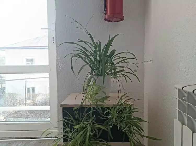 پانسیون Nomad Inn