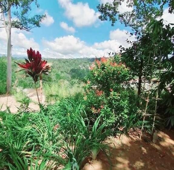 Mountain Paradise Home Stay