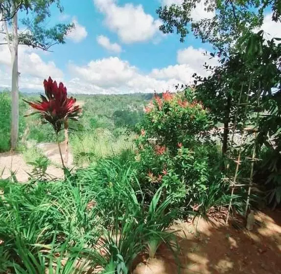 Mountain Paradise Home Stay