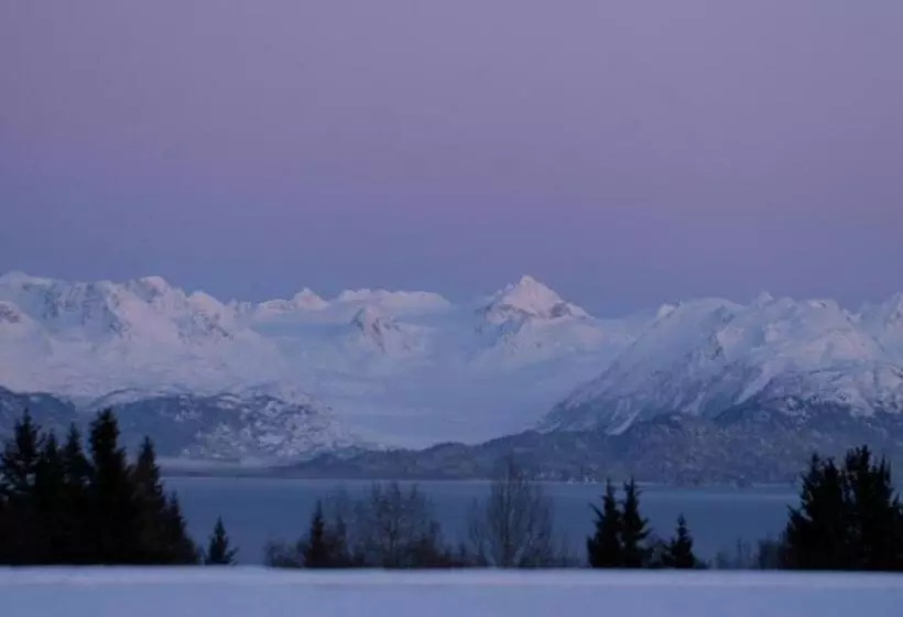 ベッドアンドブレックファースト Alaska Halcyon Heights Inn