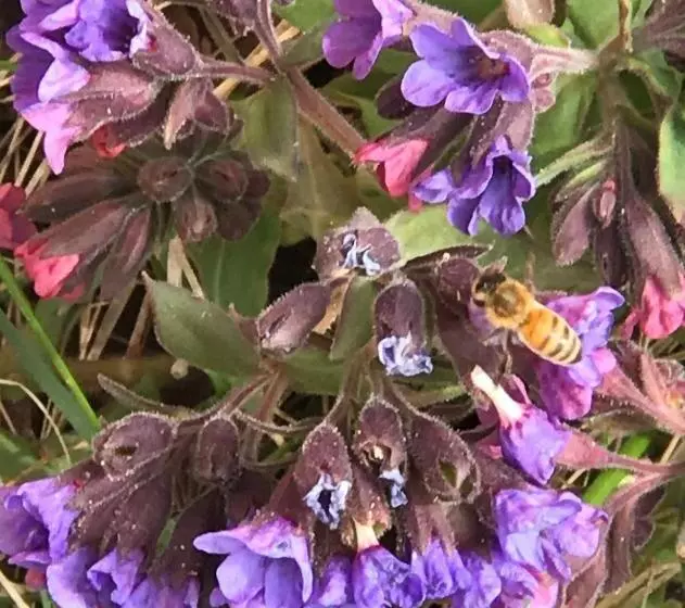 ベッドアンドブレックファースト Alaska Halcyon Heights Inn