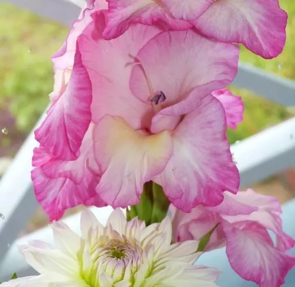 ベッドアンドブレックファースト Alaska Halcyon Heights Inn