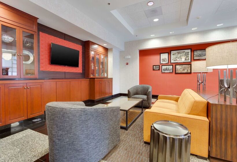 هتل Drury Inn & Suites St. Louis/o Fallon, Il