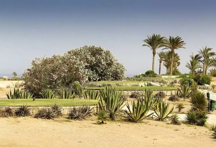 هتل Robinson Soma Bay