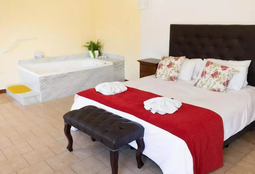 Отель Y Spa San Carlos