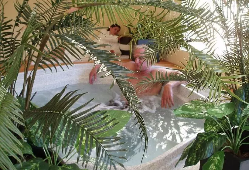 Отель Y Spa San Carlos