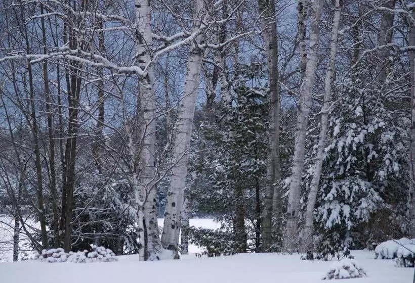 בית מלון כפרי Wilson Lake Inn