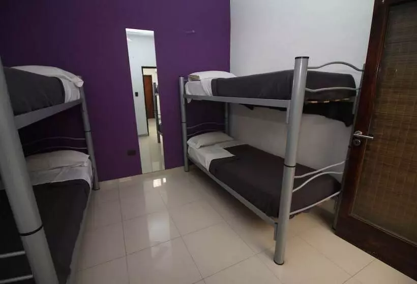Link Cordoba Hostel