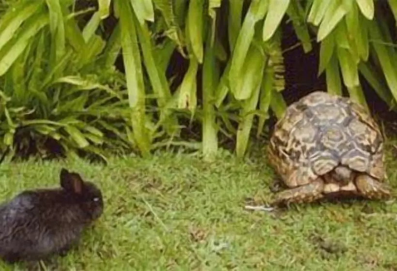 Пансион Crane S Nest Guest House At 212