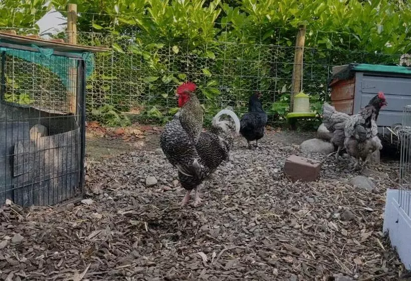 Beautiful Country Retreat For 6, With Free Parking